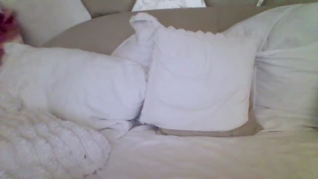 Gallery image thumbnail from Isa__'s myfreecams stream on, 11/09/2024, 20:22 image 16 of 20