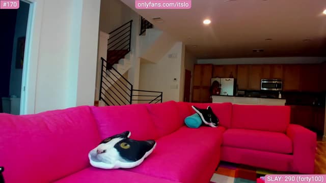 Gallery image thumbnail from ItsLo's myfreecams stream on, 04/25/2023, 20:01 image 12 of 20