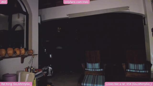 Gallery image thumbnail from ItsLo's myfreecams stream on, 10/14/2023, 24:04 image 12 of 20