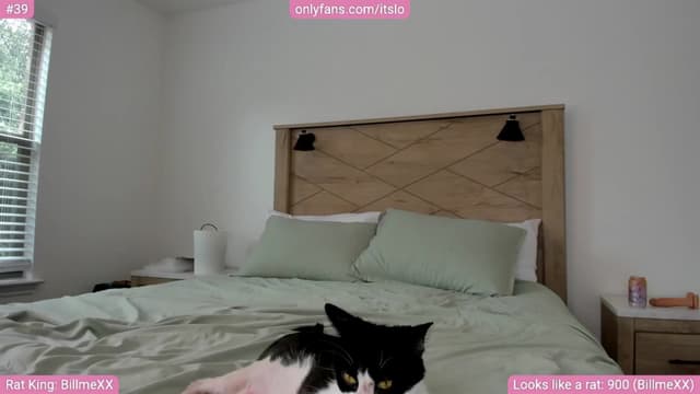 Gallery image thumbnail from ItsLo's myfreecams stream on, 05/08/2024, 18:49 image 20 of 20