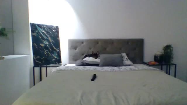 Gallery image thumbnail from ItsMe's myfreecams stream on, 11/15/2023, 11:16 image 12 of 20
