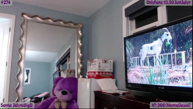 Gallery image thumbnail from Jalyn's myfreecams stream on, 12/13/2022, 24:07 image 14 of 20