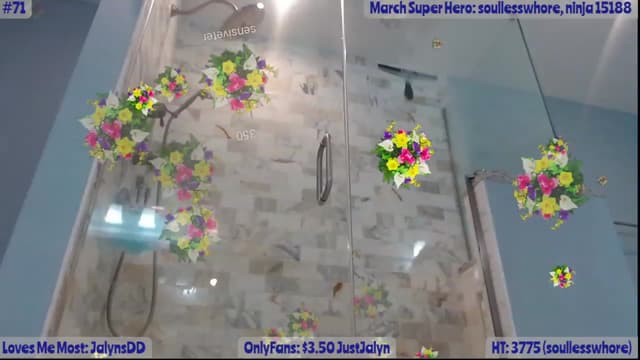 Gallery image thumbnail from Jalyn's myfreecams stream on, 03/26/2023, 01:29 image 11 of 20