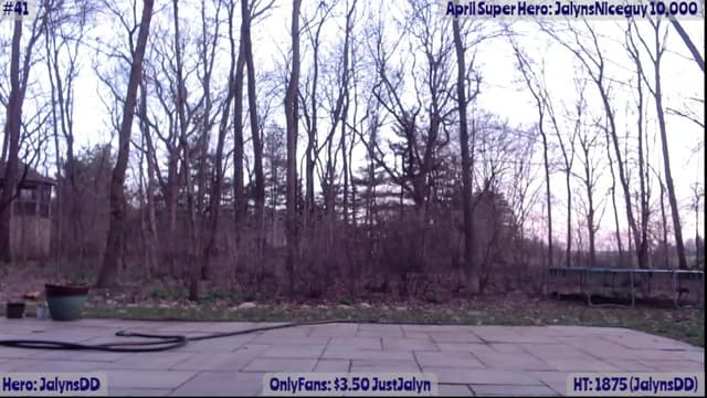 Gallery image thumbnail from Jalyn's myfreecams stream on, 04/12/2023, 01:01 image 13 of 20