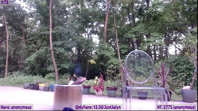 Gallery image thumbnail from Jalyn's myfreecams stream on, 06/09/2023, 02:33 image 9 of 20