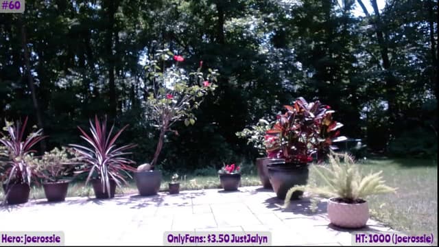 Gallery image thumbnail from Jalyn's myfreecams stream on, 06/10/2023, 18:42 image 10 of 20