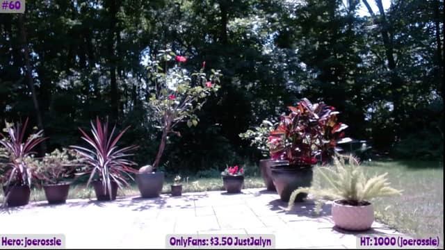 Gallery image thumbnail from Jalyn's myfreecams stream on, 06/10/2023, 18:42 image 9 of 20