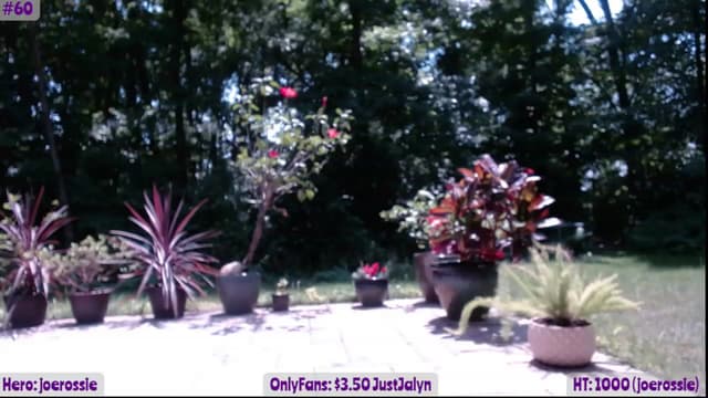 Gallery image thumbnail from Jalyn's myfreecams stream on, 06/10/2023, 18:42 image 8 of 20