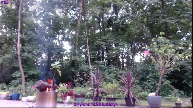 Gallery image thumbnail from Jalyn's myfreecams stream on, 07/18/2023, 01:16 image 18 of 20