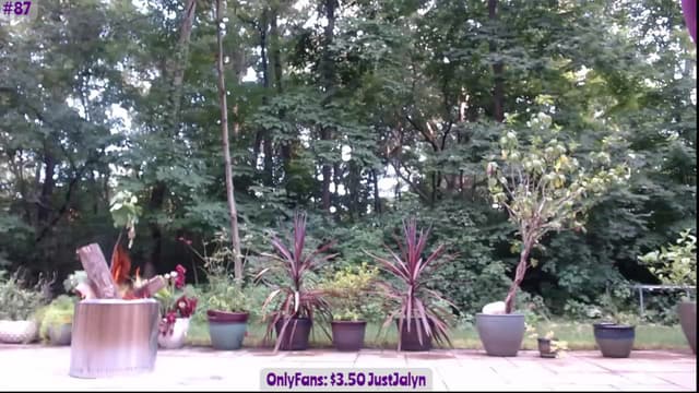 Gallery image thumbnail from Jalyn's myfreecams stream on, 07/22/2023, 02:02 image 5 of 20