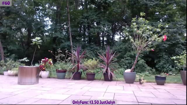 Gallery image thumbnail from Jalyn's myfreecams stream on, 07/28/2023, 01:12 image 16 of 20