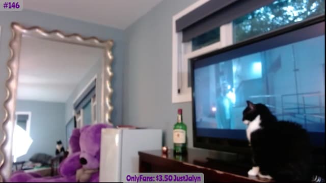 Gallery image thumbnail from Jalyn's myfreecams stream on, 08/06/2023, 01:18 image 11 of 20