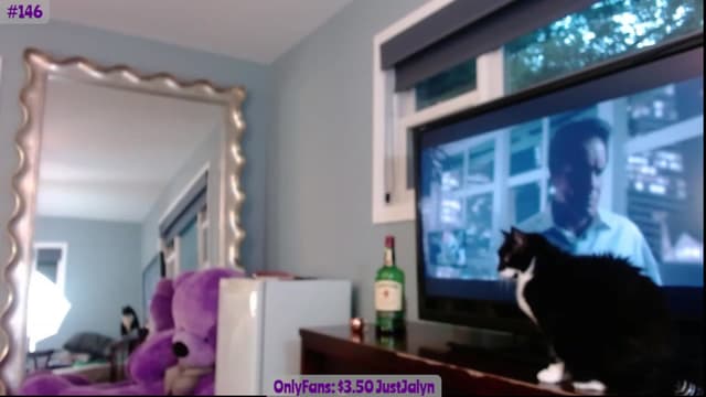 Gallery image thumbnail from Jalyn's myfreecams stream on, 08/06/2023, 01:18 image 9 of 20