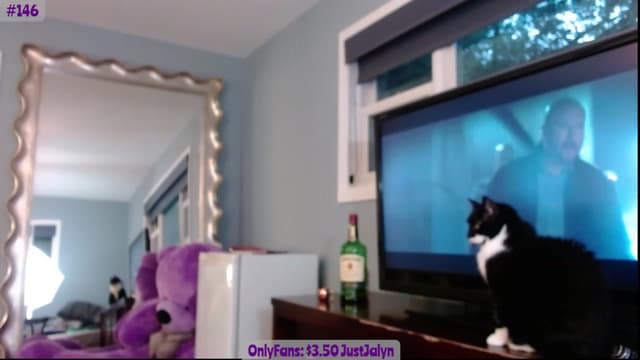 Gallery image thumbnail from Jalyn's myfreecams stream on, 08/06/2023, 01:18 image 10 of 20