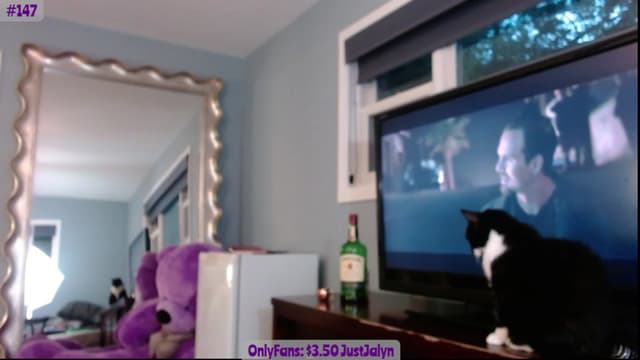 Gallery image thumbnail from Jalyn's myfreecams stream on, 08/06/2023, 01:18 image 14 of 20