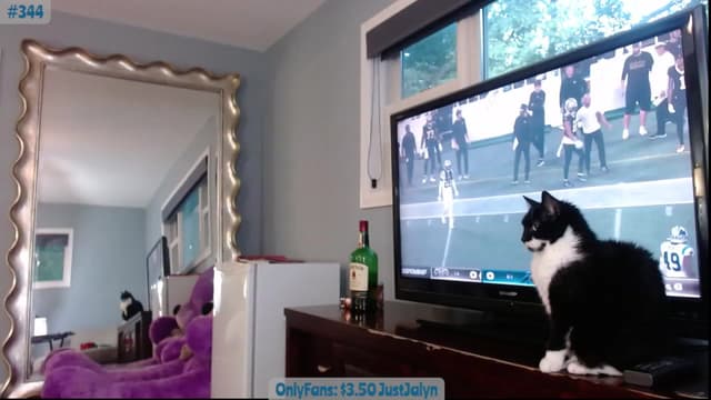 Gallery image thumbnail from Jalyn's myfreecams stream on, 09/19/2023, 24:13 image 9 of 20