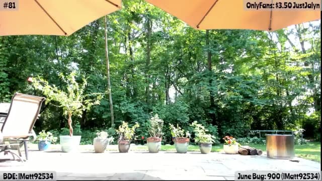 Gallery image thumbnail from Jalyn's myfreecams stream on, 06/15/2025, 21:59 image 14 of 20