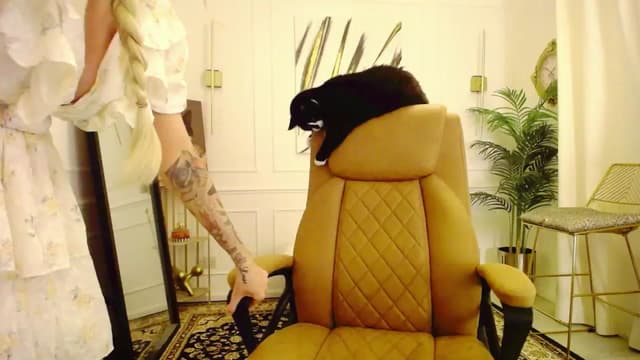 Gallery image thumbnail from K3lly's myfreecams stream on, 08/18/2025, 20:39 image 19 of 20