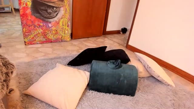 Gallery image thumbnail from Kas__'s myfreecams stream on, 07/29/2023, 15:08 image 10 of 20