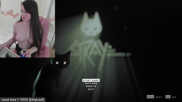 Gallery image thumbnail from Kitty's myfreecams stream on, 03/01/2023, 08:47 image 3 of 20