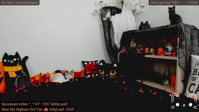 Gallery image thumbnail from Kitty's myfreecams stream on, 10/03/2023, 04:24 image 10 of 20