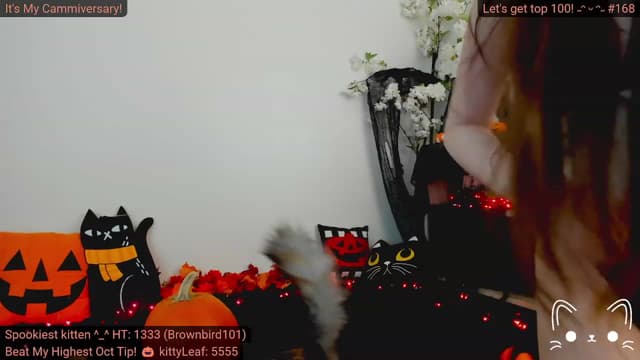 Gallery image thumbnail from Kitty's myfreecams stream on, 10/12/2023, 04:45 image 8 of 20