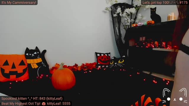 Gallery image thumbnail from Kitty's myfreecams stream on, 10/12/2023, 04:45 image 2 of 20