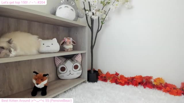 Gallery image thumbnail from Kitty's myfreecams stream on, 12/22/2023, 06:22 image 17 of 20