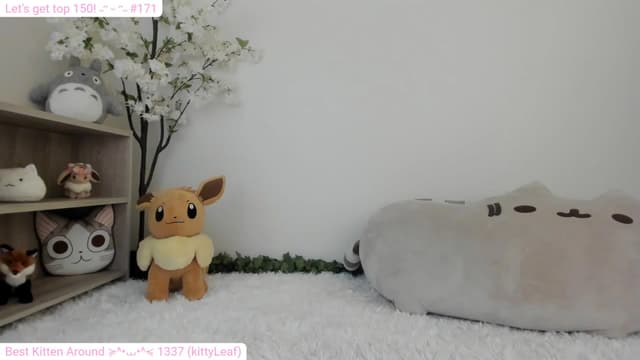 Gallery image thumbnail from Kitty's myfreecams stream on, 12/29/2023, 06:18 image 17 of 20