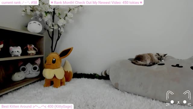 Gallery image thumbnail from Kitty's myfreecams stream on, 02/11/2024, 05:49 image 19 of 20