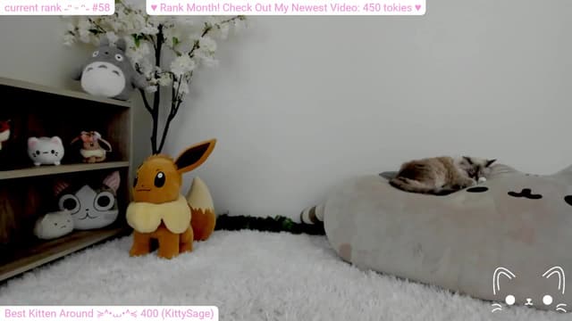 Gallery image thumbnail from Kitty's myfreecams stream on, 02/11/2024, 05:49 image 20 of 20