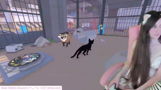Gallery image thumbnail from Kitty's myfreecams stream on, 05/11/2024, 05:59 image 17 of 20