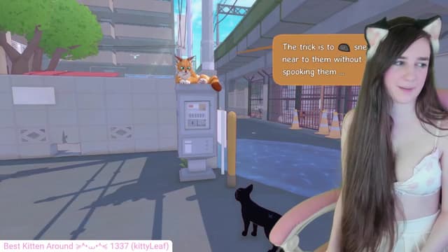 Gallery image thumbnail from Kitty's myfreecams stream on, 05/11/2024, 05:59 image 12 of 20