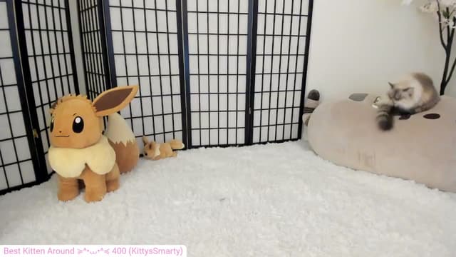 Gallery image thumbnail from Kitty's myfreecams stream on, 05/18/2024, 06:14 image 10 of 20