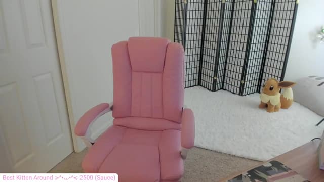 Gallery image thumbnail from Kitty's myfreecams stream on, 07/04/2024, 04:36 image 4 of 20