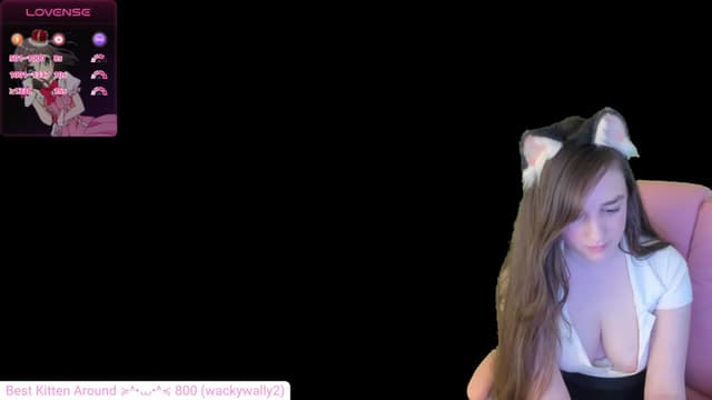 Gallery image thumbnail from Kitty's myfreecams stream on, 08/11/2024, 07:13 image 15 of 20