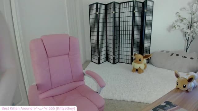 Gallery image thumbnail from Kitty's myfreecams stream on, 09/13/2024, 05:10 image 17 of 20