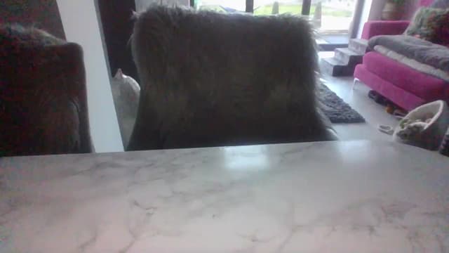 Gallery image thumbnail from Klo35's myfreecams stream on, 07/09/2023, 20:52 image 6 of 20