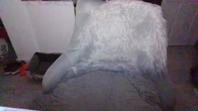 Gallery image thumbnail from Klo35's myfreecams stream on, 07/23/2023, 22:17 image 5 of 20