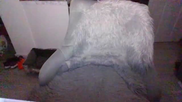 Gallery image thumbnail from Klo35's myfreecams stream on, 07/23/2023, 22:17 image 1 of 20