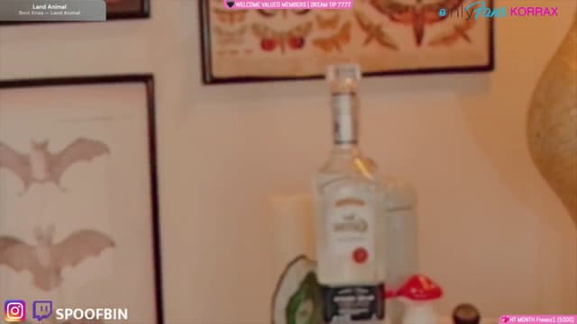 Gallery image thumbnail from Korra's myfreecams stream on, 12/15/2024, 10:59 image 9 of 20