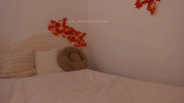 Gallery image thumbnail from LivM_'s myfreecams stream on, 10/12/2025, 10:29 image 17 of 20