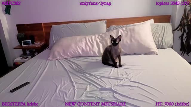 Gallery image thumbnail from LyraG's myfreecams stream on, 06/29/2026, 01:27 image 17 of 20