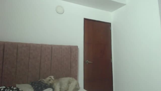 Gallery image thumbnail from Mao02's myfreecams stream on, 06/11/2024, 16:12 image 4 of 20