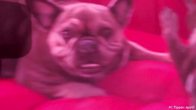 Gallery image thumbnail from Marie's myfreecams stream on, 05/12/2023, 05:11 image 18 of 20