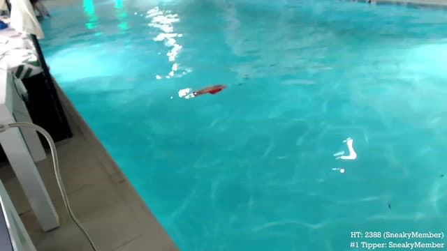 Gallery image thumbnail from Marie's myfreecams stream on, 10/12/2023, 03:19 image 10 of 20