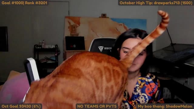 Gallery image thumbnail from Melon's myfreecams stream on, 10/26/2025, 18:09 image 17 of 20