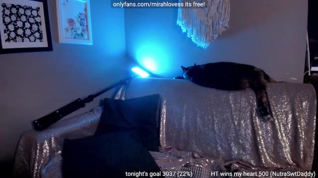 Gallery image thumbnail from Mirah's myfreecams stream on, 08/16/2023, 04:48 image 11 of 20