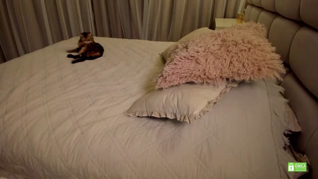 Gallery image thumbnail from Muse_'s myfreecams stream on, 06/16/2025, 20:22 image 3 of 20