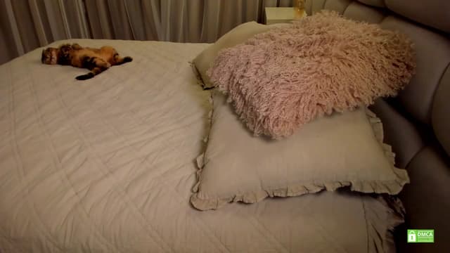 Gallery image thumbnail from Muse_'s myfreecams stream on, 06/16/2025, 20:22 image 10 of 20
